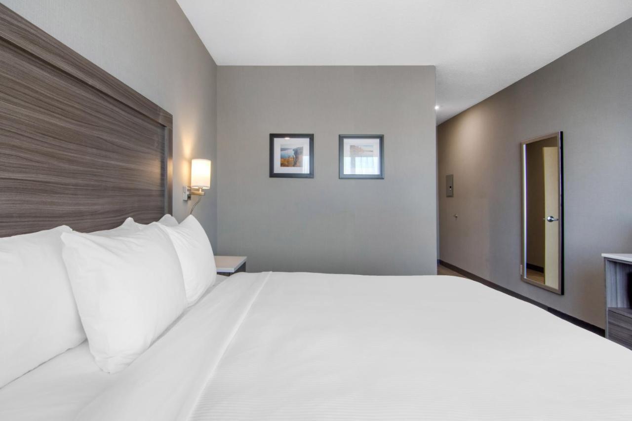 Comfort Inn & Suites North Battleford Luaran gambar